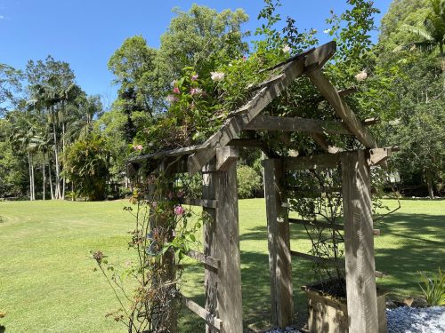 garden established