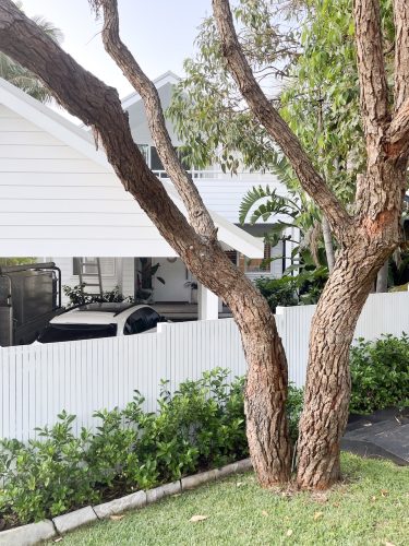 Blanco, Avalon Beach_34