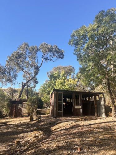 Crossword, Fryerstown_16