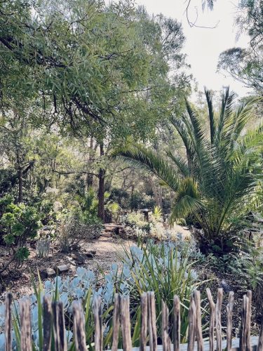 garden established