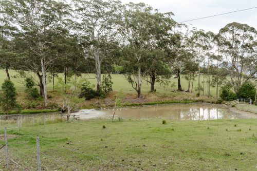 garden established