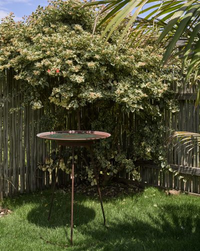 gardens established