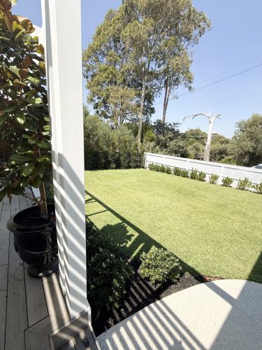 backyard