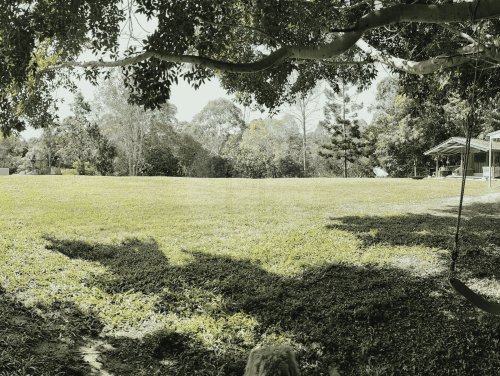 Riverbend, Bunya-49