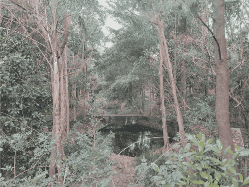 Riverbend, Bunya-51