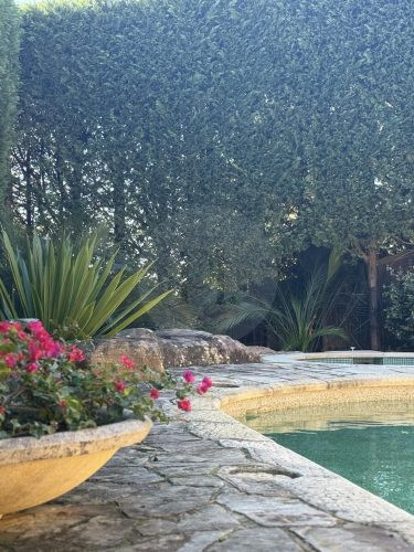 SAHARAROSE POOL OUTDOOR AND POOL25