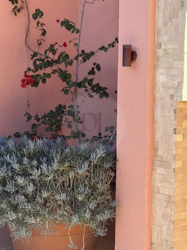 SAHARAROSE POOL OUTDOOR AND POOL66