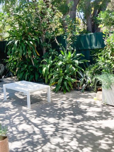 backyard garden established