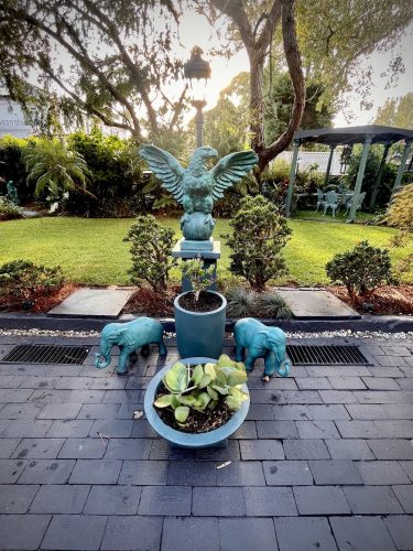 backyard