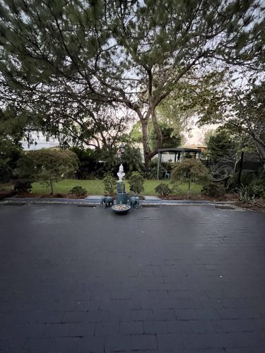 Adaline, Bellevue Hill_26
