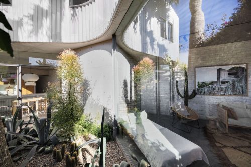 outdoor area backyard garden established