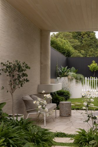 outdoor area backyard garden established