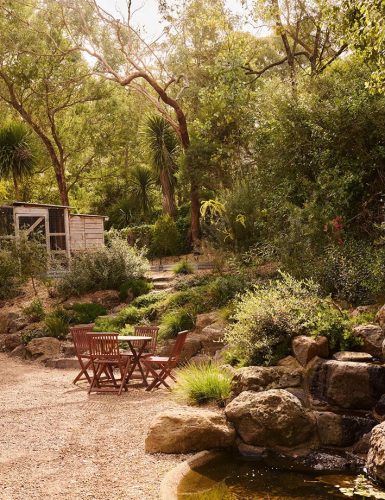 backyard garden established