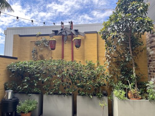 Fazioli, Erskineville_30