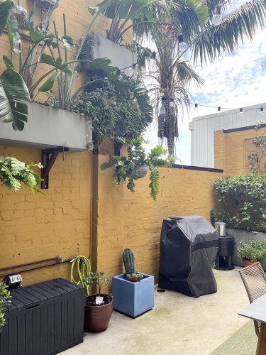 Fazioli, Erskineville_5