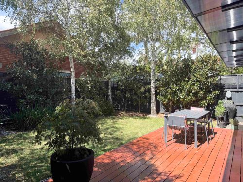 outdoor area garden established