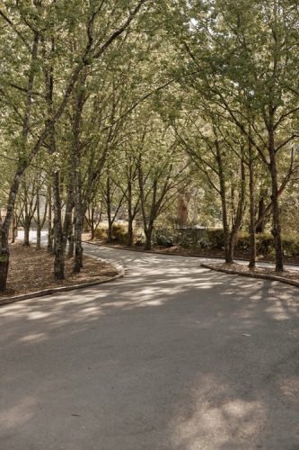 garden established driveway