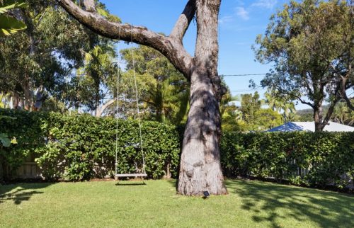 backyard