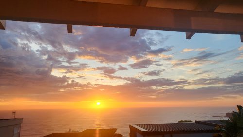 Merella, Collaroy Plateau-26