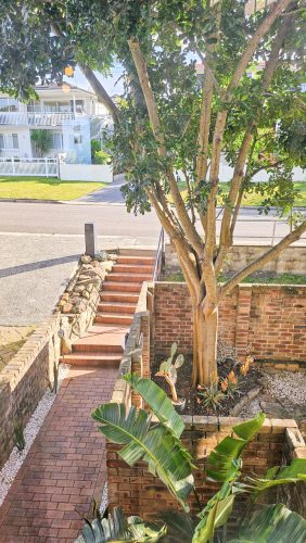 Merella, Collaroy Plateau--53