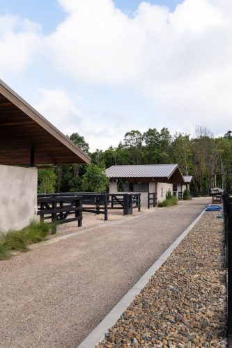 Motif Group | Stables