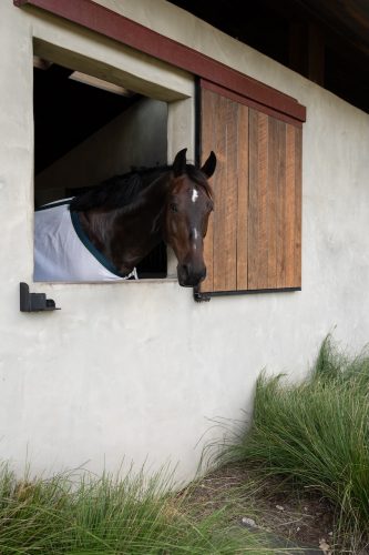 Motif Group | Stables