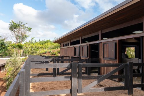 Motif Group | Stables