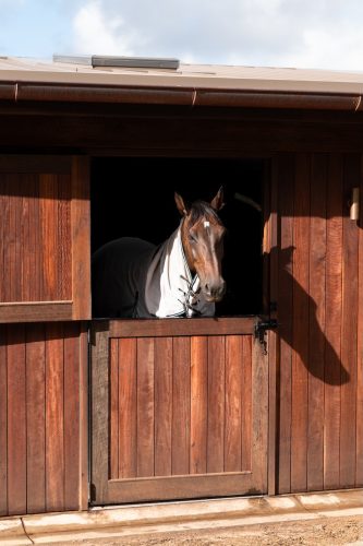 Motif Group | Stables