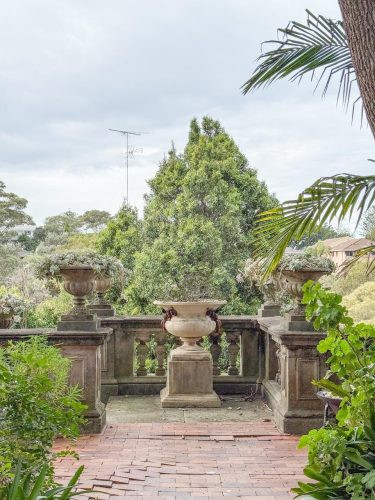 Queens Gambit, Randwick 42
