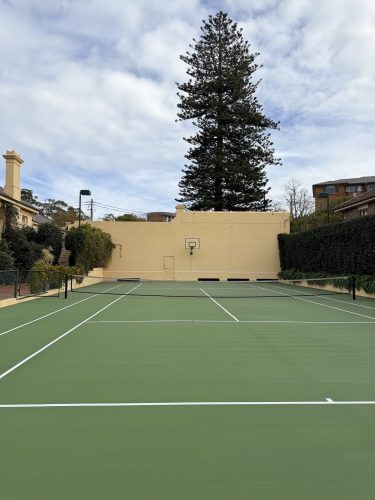 backyard
