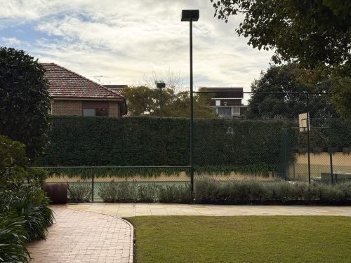 Queens Gambit, Randwick_54