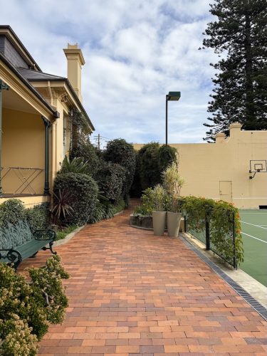 Queens Gambit, Randwick_57