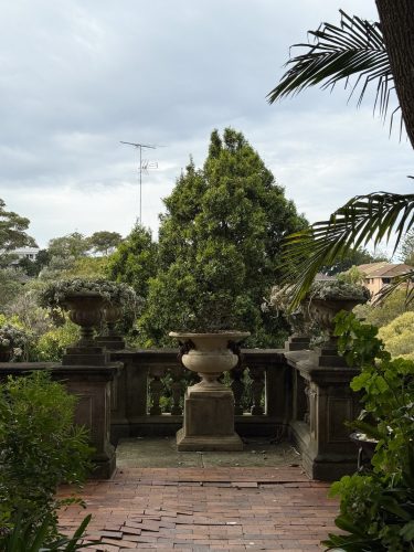 Queens Gambit, Randwick_63