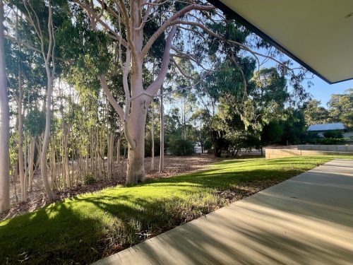garden established