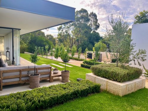 backyard