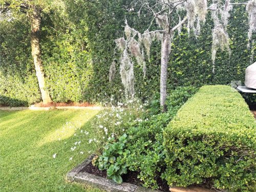 garden established