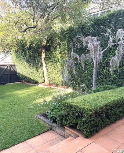 outdoor area backyard