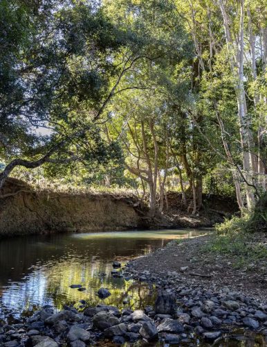 Stonebark House, Middle Pocket - 42