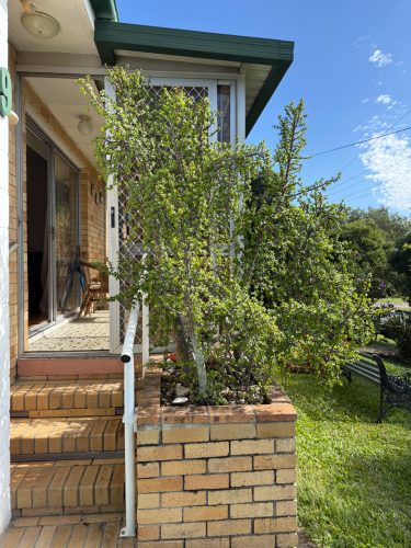 Tandanya House, Mansfield-22
