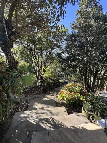 garden established