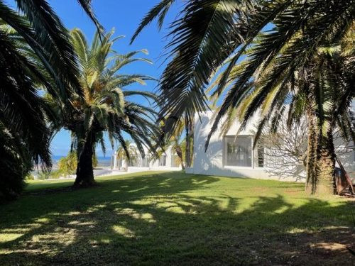 VILLA PALMAS12