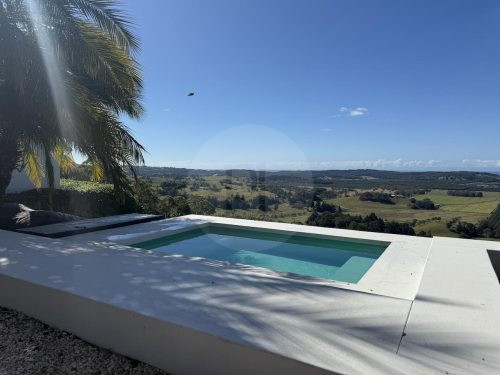 VILLAS PALMAS PLUNGE POOL