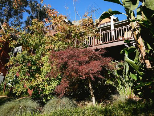 Zen Den, Warrandyte 18