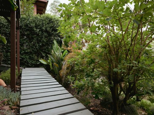 Zen Den, Warrandyte 24