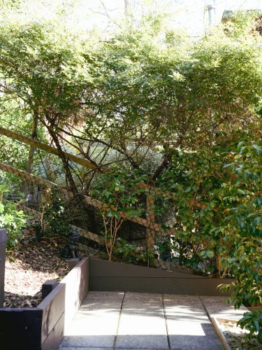 Zen Den, Warrandyte 7
