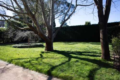 Rosemont Estate, Burradoo