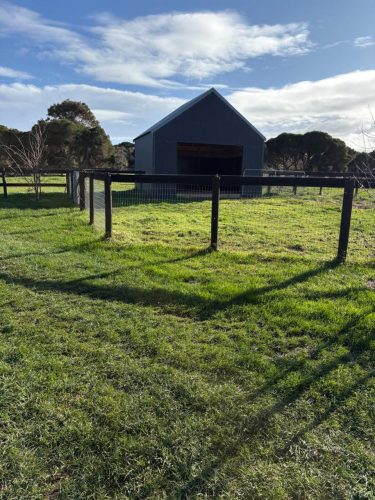 Cinnamon Estate, Flinders-05