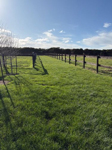 Cinnamon Estate, Flinders-08