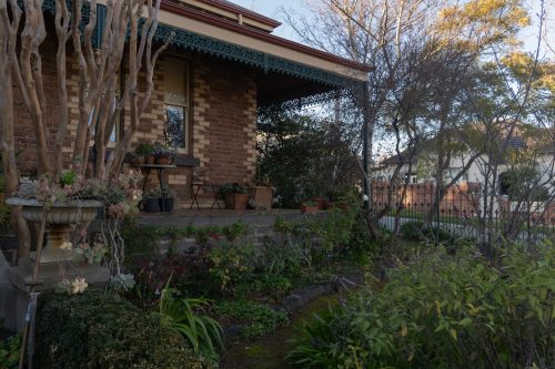 Edith, Essendon_25