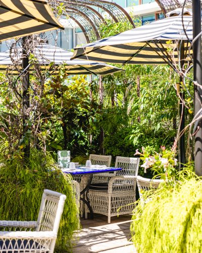 outdoor area backyard